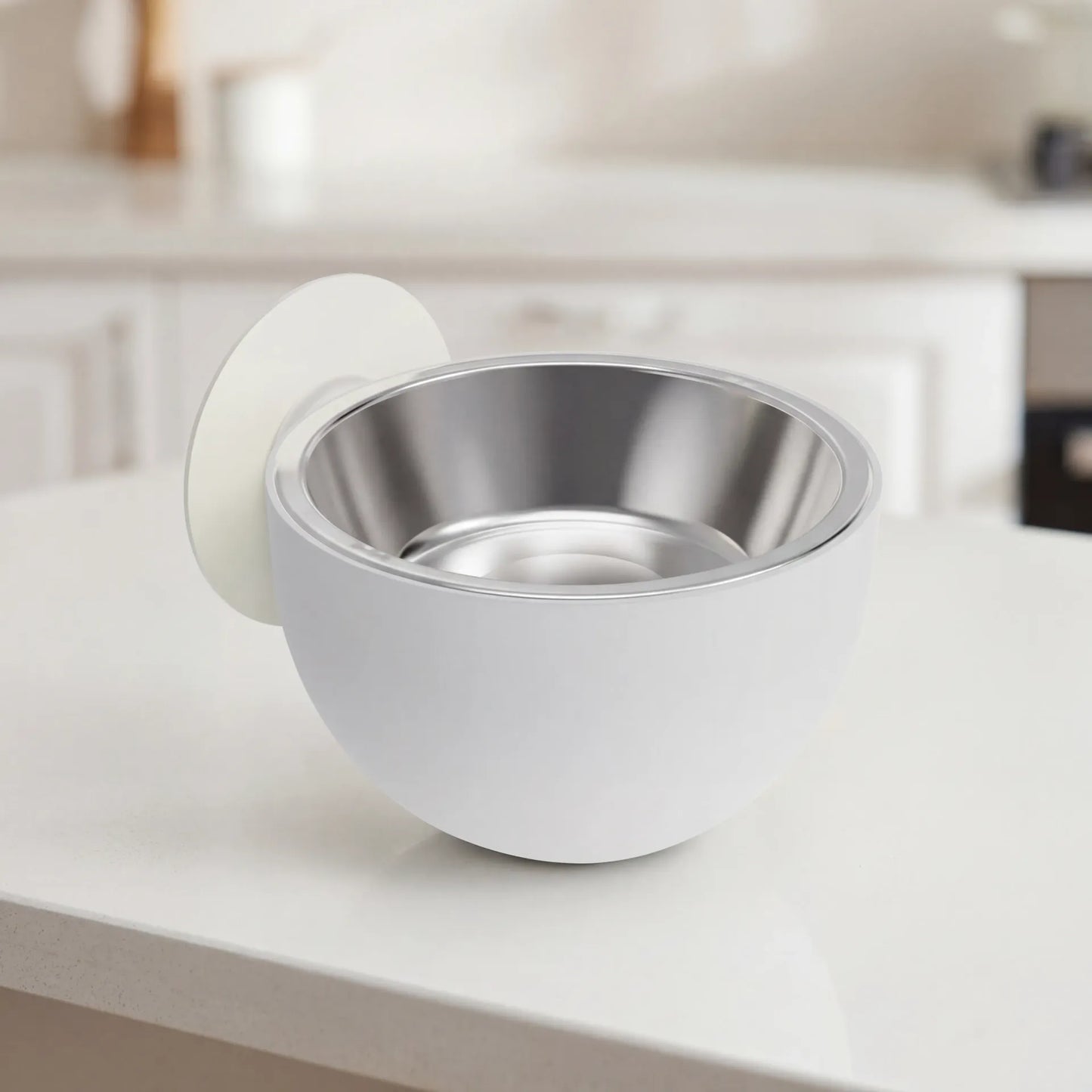 Magnetic Pet Food Bowl — Zoro Pets
