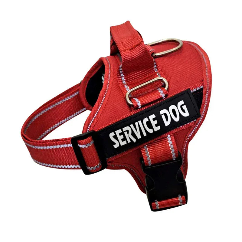 Personalized Pet Harness