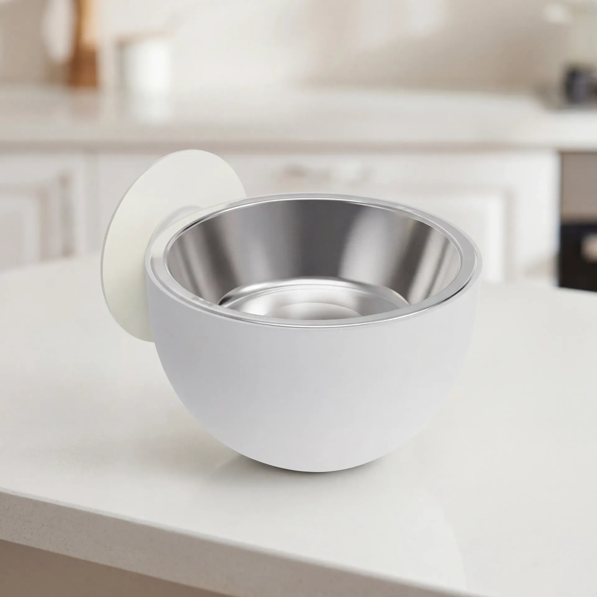 Magnetic Pet Food Bowl — Zoro Pets