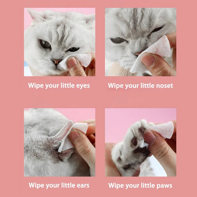 120 Pcs Non-Woven Pet Eye Cleaning Wipes - Zoro Pets