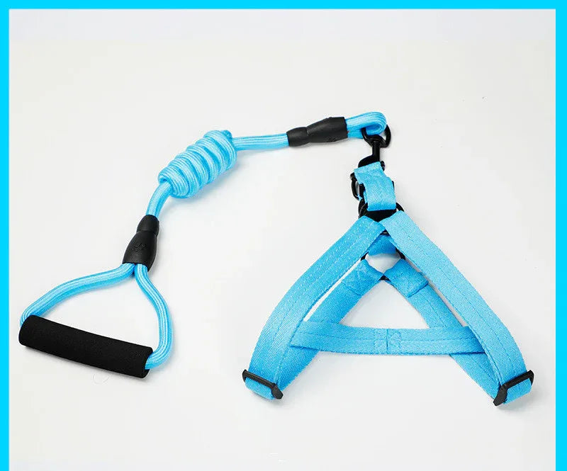 Adjustable Dog Leash Set