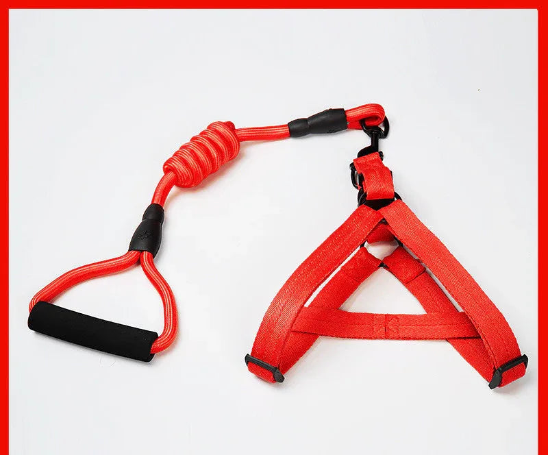 Adjustable Dog Leash Set