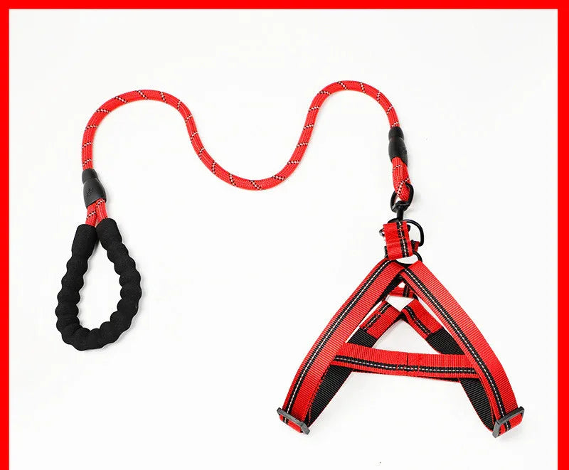 Adjustable Dog Leash Set