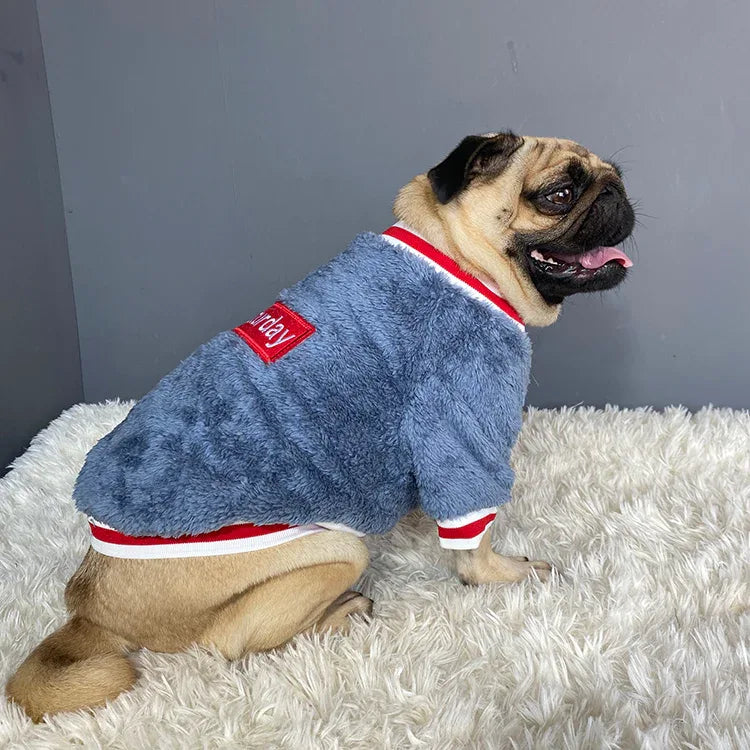 Cozy Pet Sweater