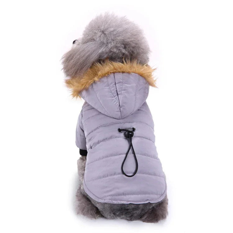 Winter Pet Coat