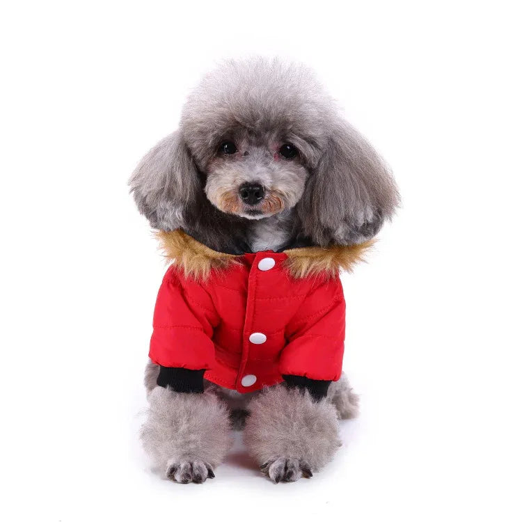 Winter Pet Coat