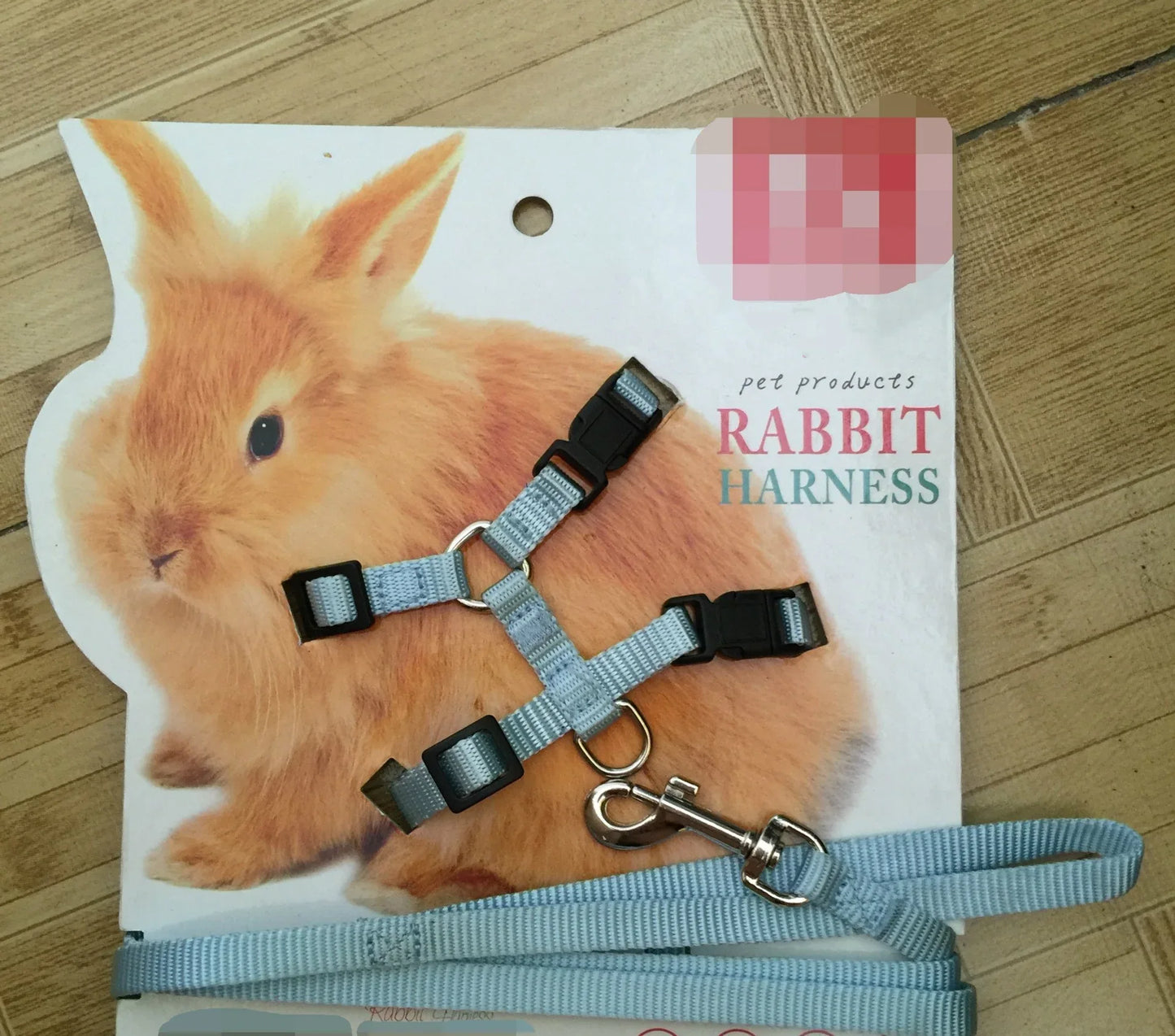 Small Pet Leash