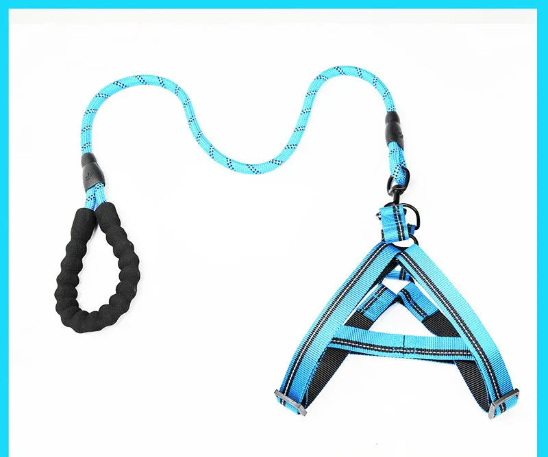 Adjustable Dog Leash Set