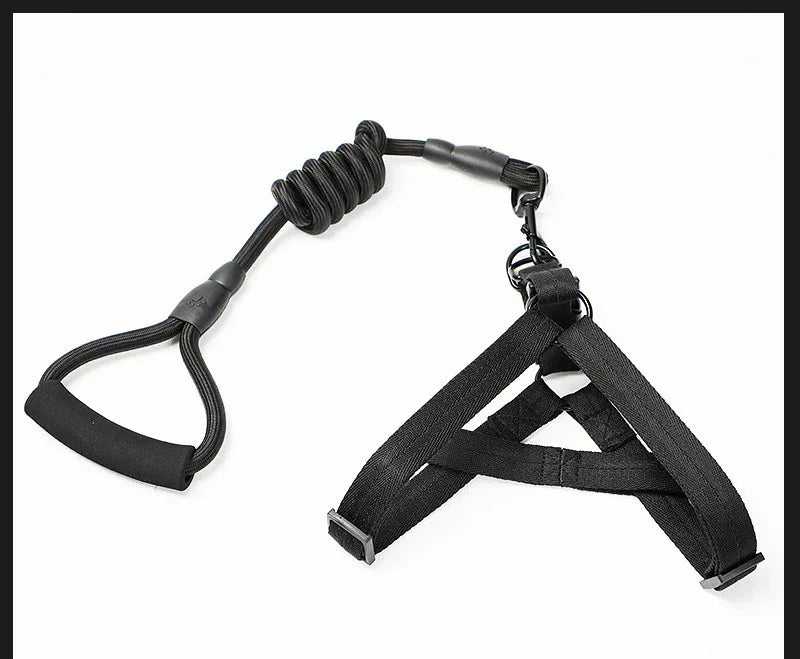 Adjustable Dog Leash Set