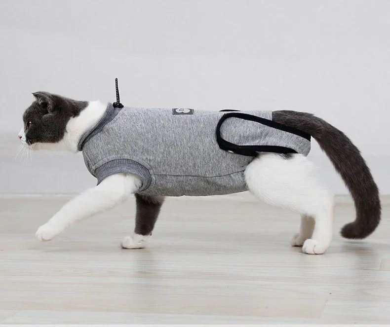 Cat Recovery Suit