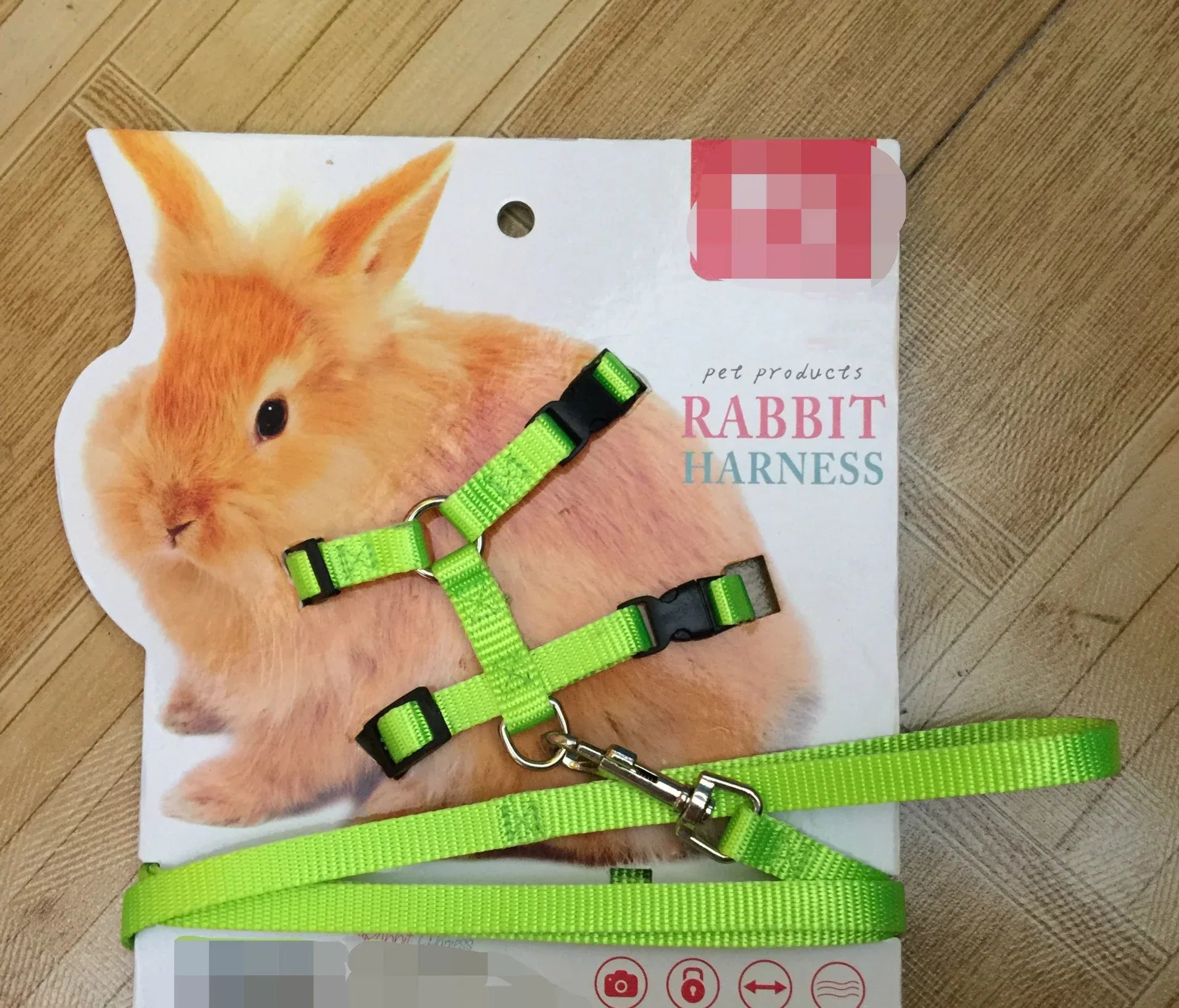 Small Pet Leash