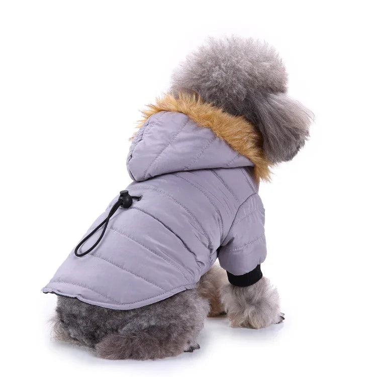 Winter Pet Coat