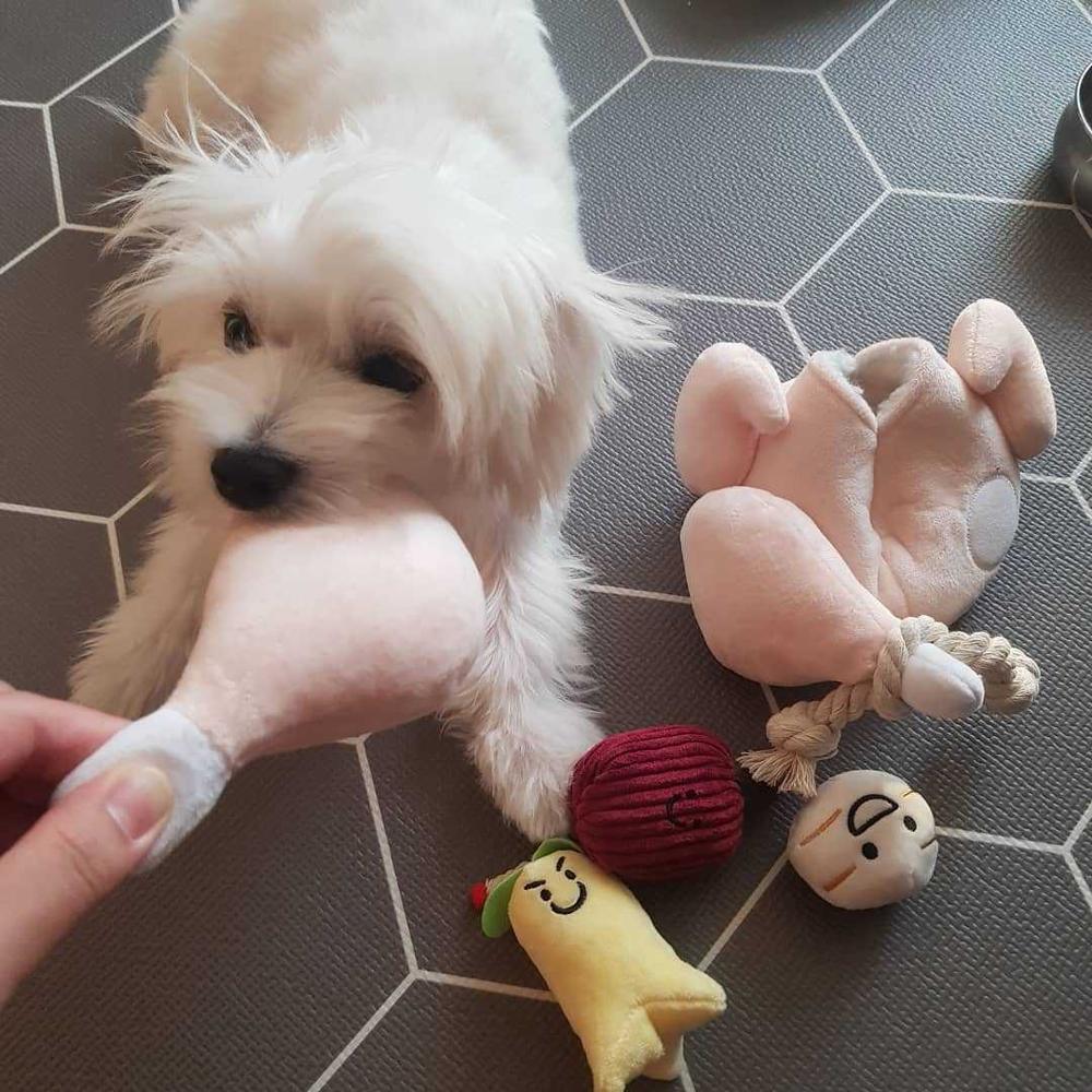Squeaky Plush Pet Toy