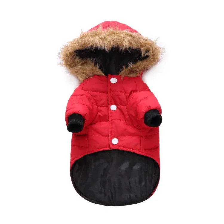 Winter Pet Coat
