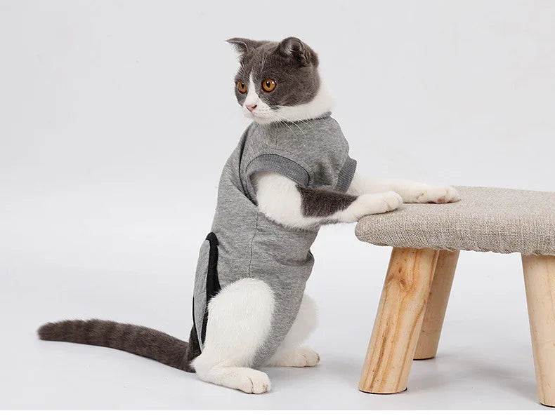 Cat Recovery Suit