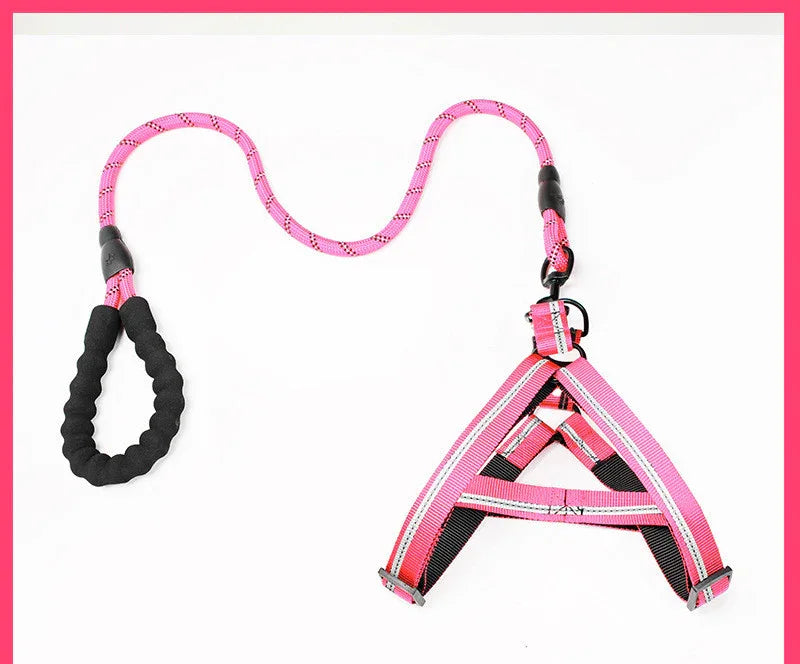 Adjustable Dog Leash Set