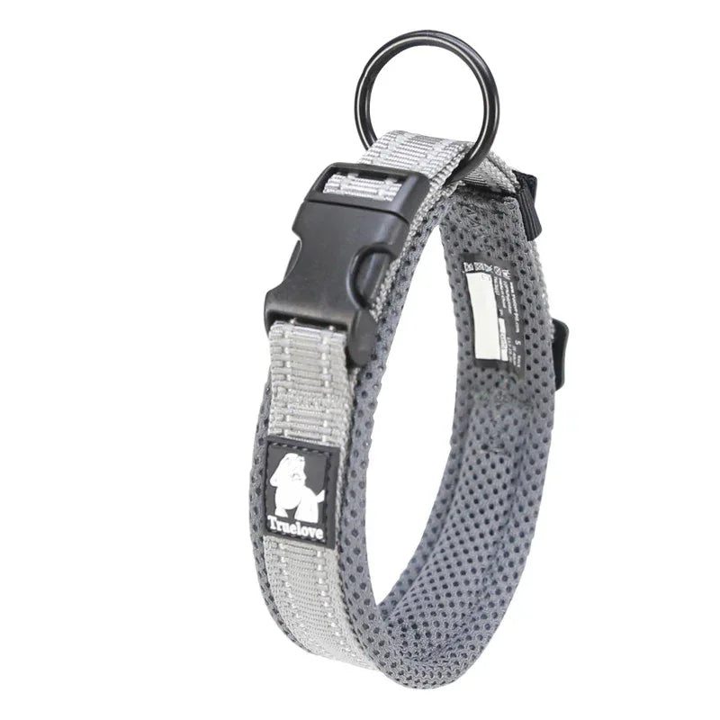 Reflective Breakaway Dog Collar