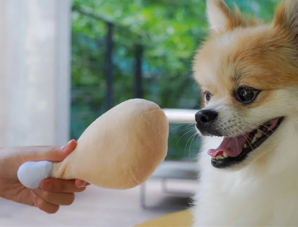 Squeaky Plush Pet Toy