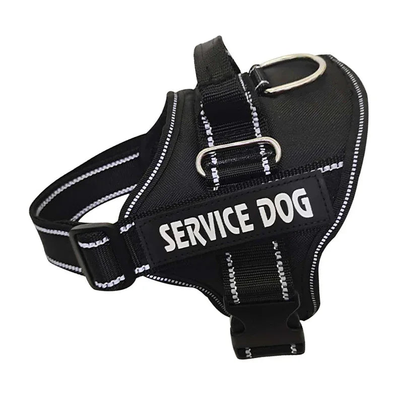 Personalized Pet Harness