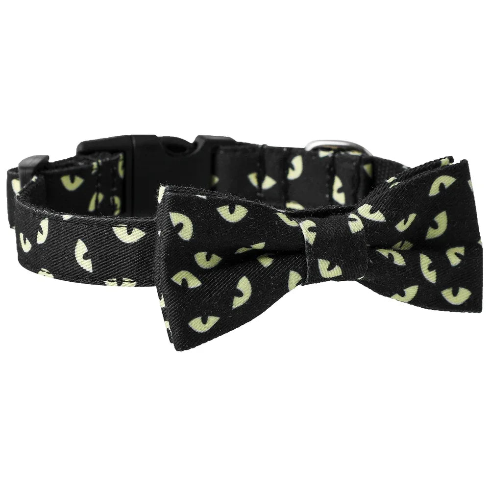 Skull Bat Pet Collar