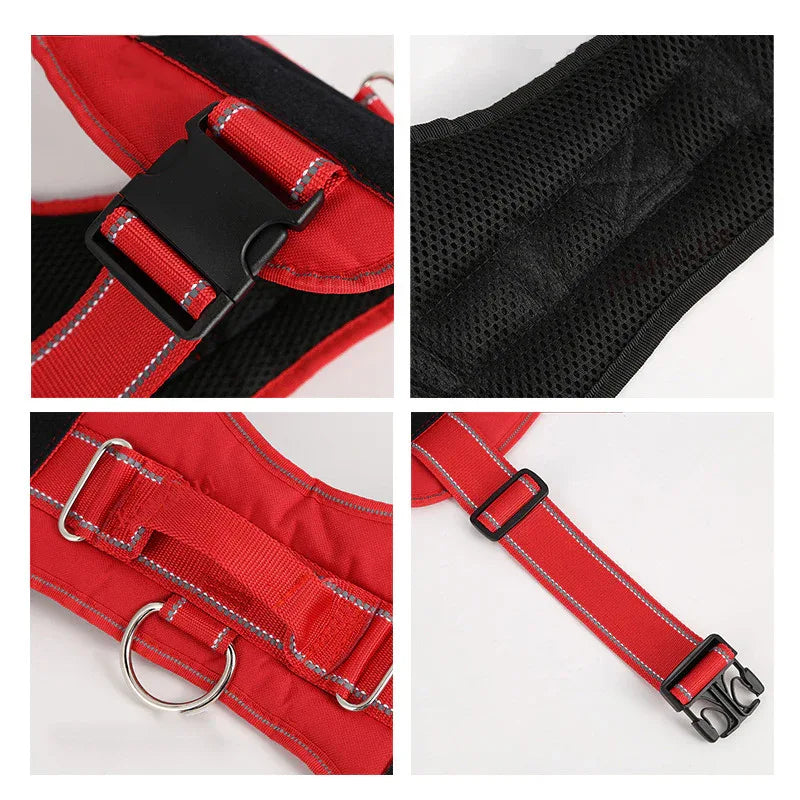Personalized Pet Harness