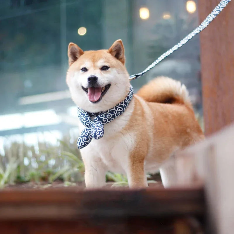 Japanese-Style Dog Collar