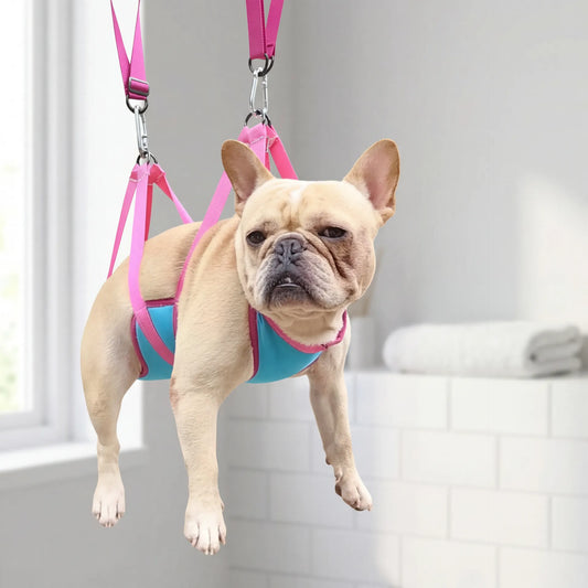 Pet Grooming Hammock Kit — Zoro Pets