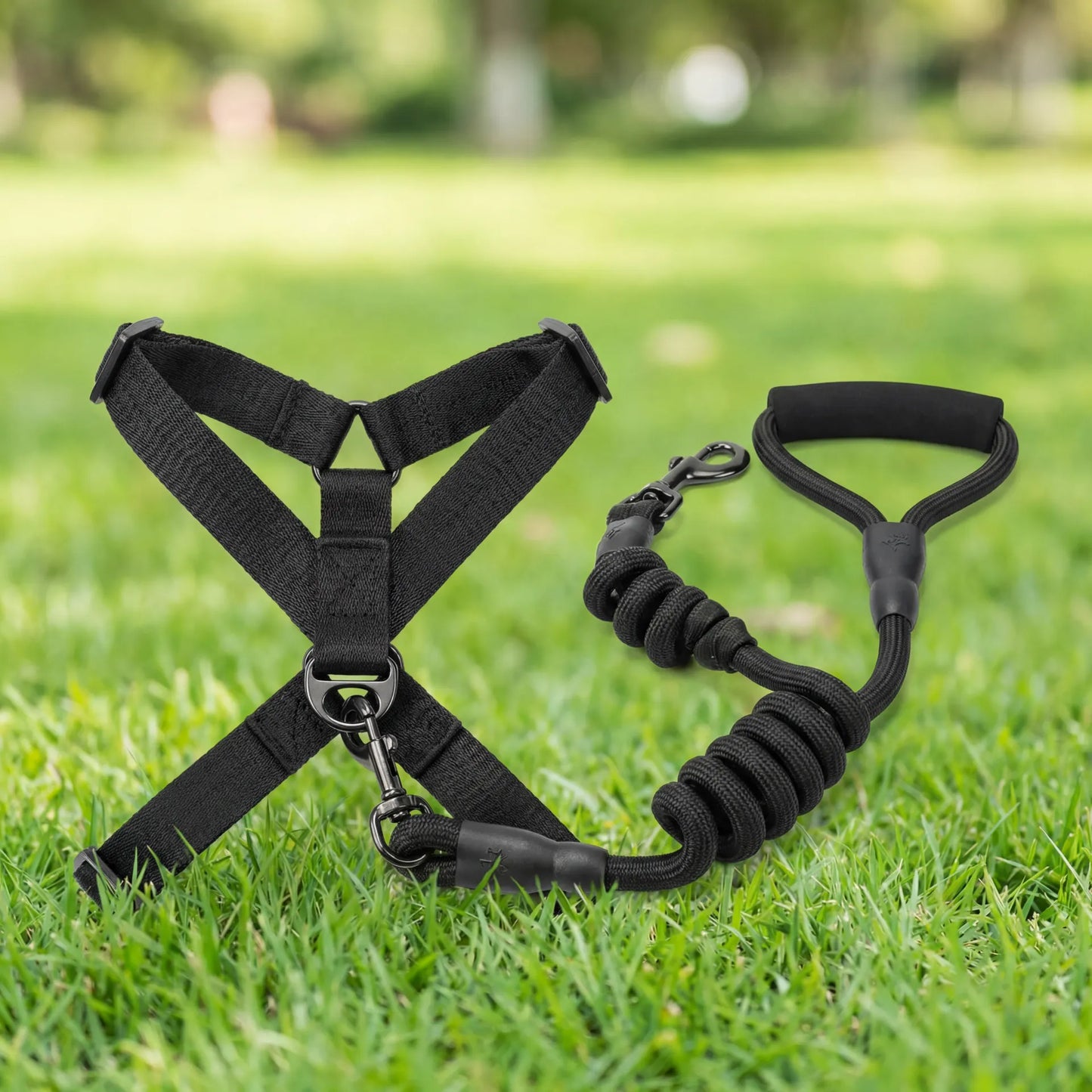 Adjustable Dog Leash and Harness Set — Zoro Pets