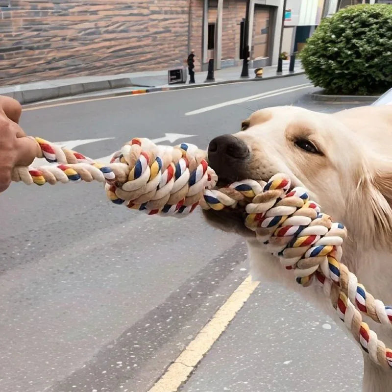 Large Rope Knot Dog Toy