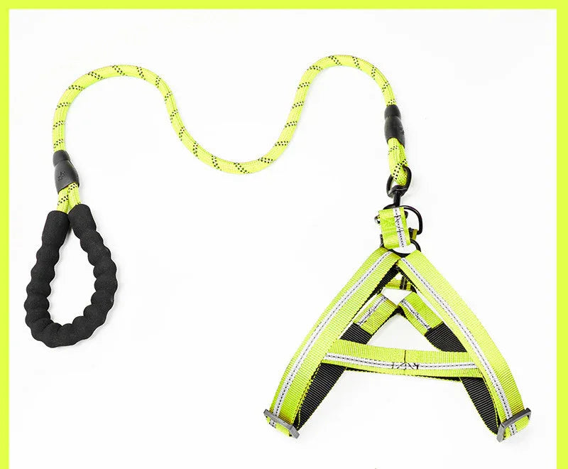 Adjustable Dog Leash Set