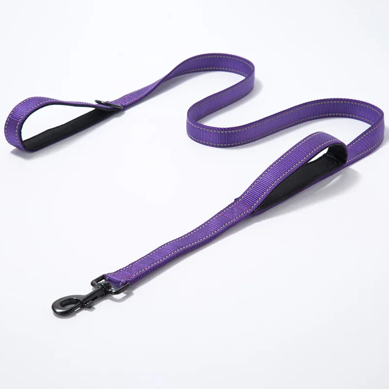 Reflective Nylon Dog Leash