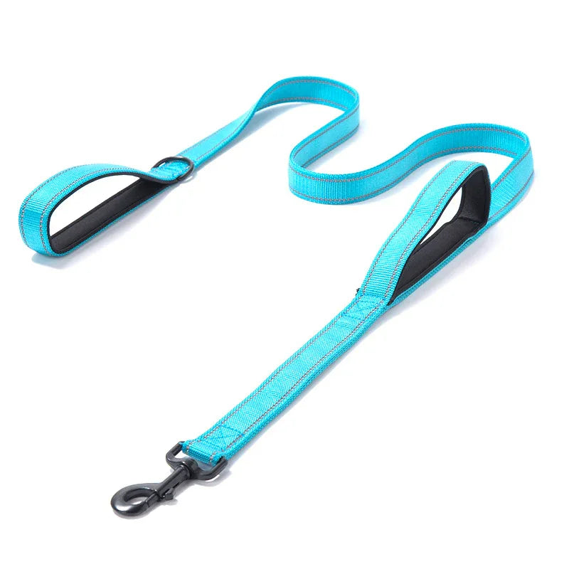 Reflective Nylon Dog Leash
