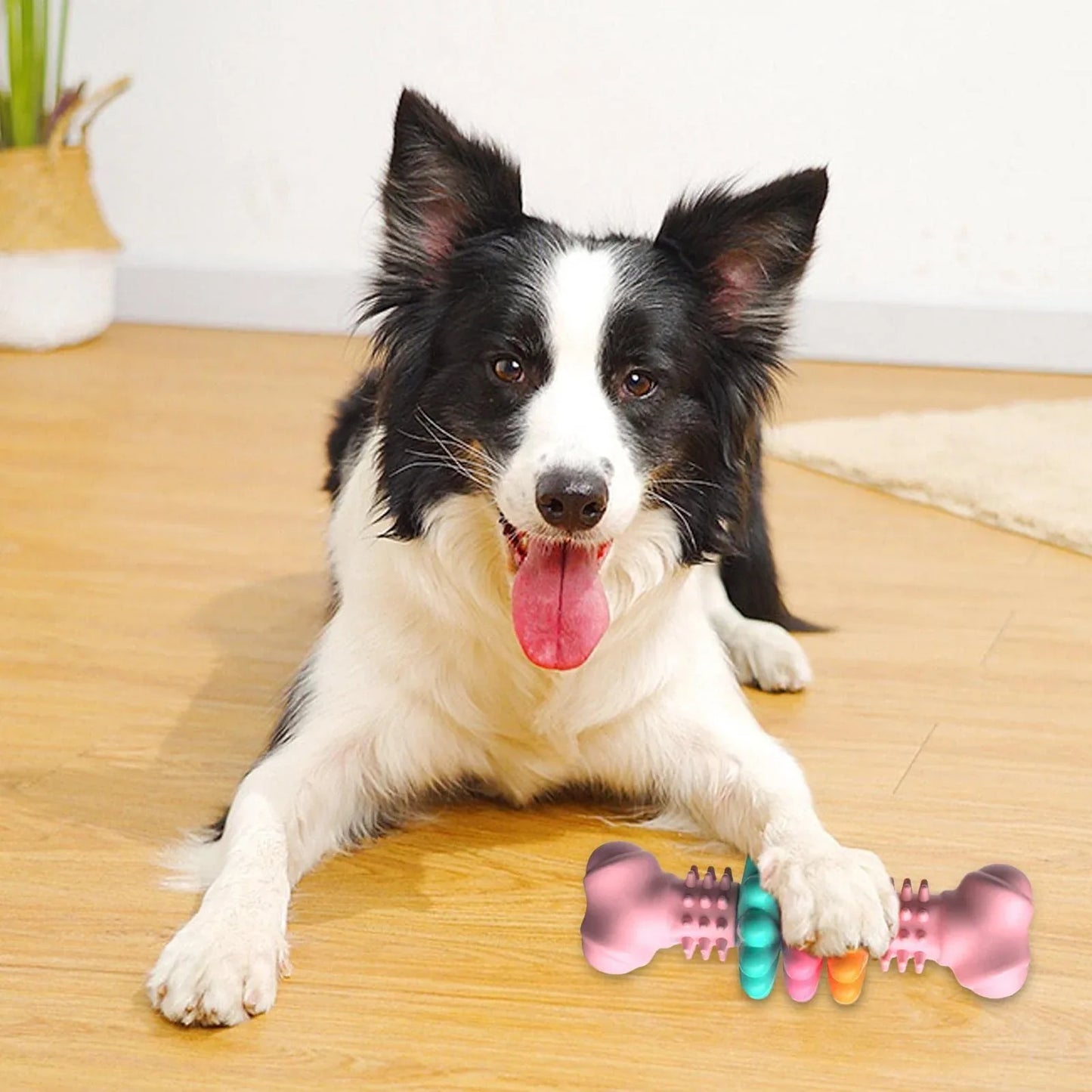 Indestructible TPR Dog Bone – Zoro Pets