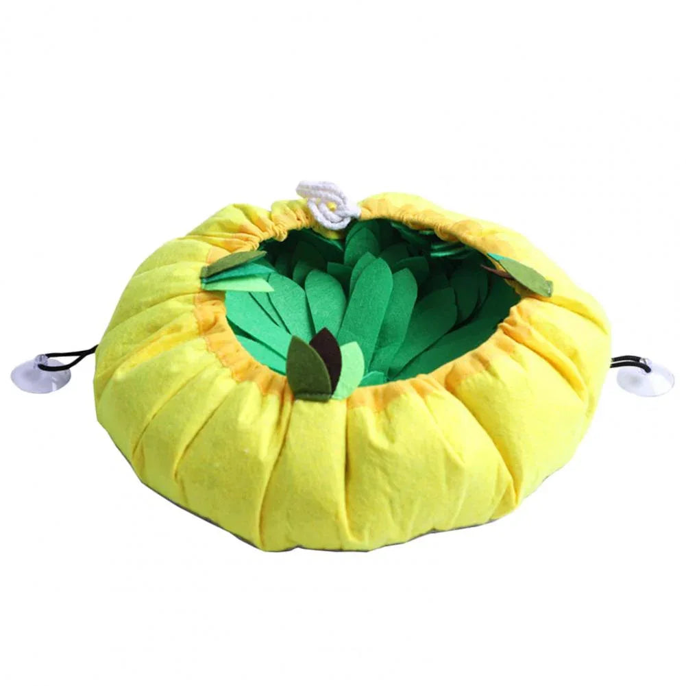 Puzzle Hide Treat Toy