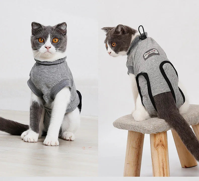 Cat Recovery Suit