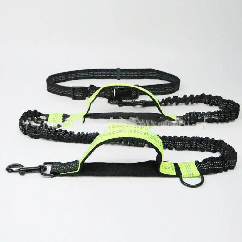Multifunction Dog Leash