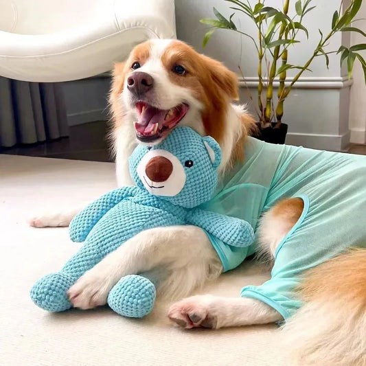 Large Squeaky Bear Dog Toy