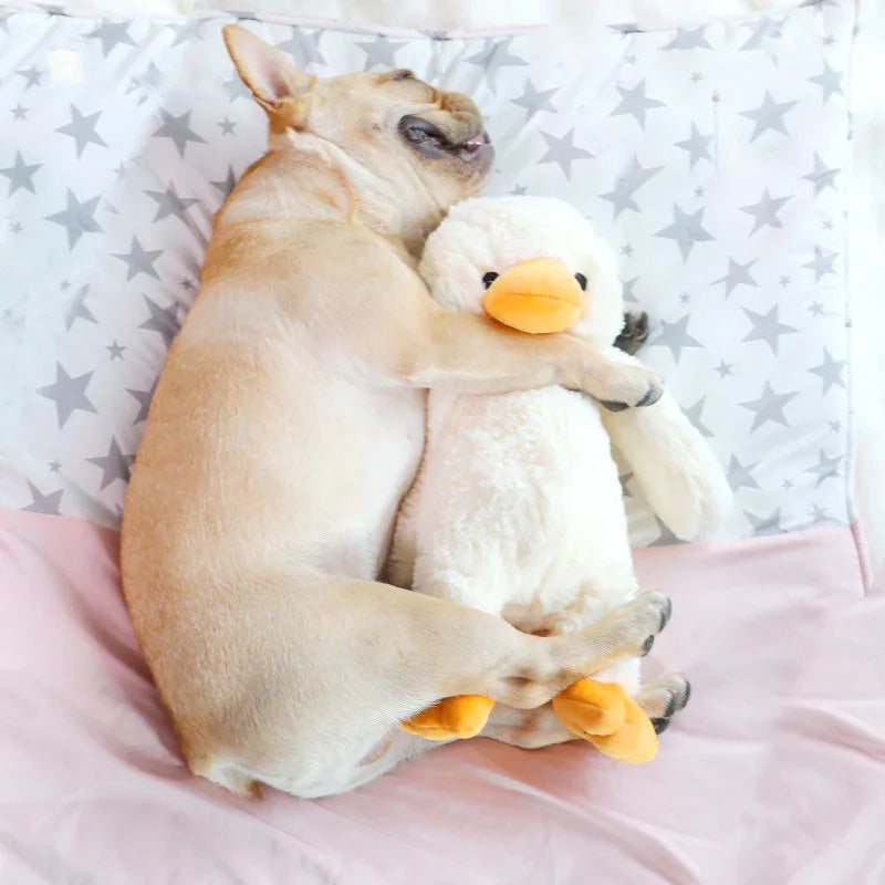 Plush Dog Toy