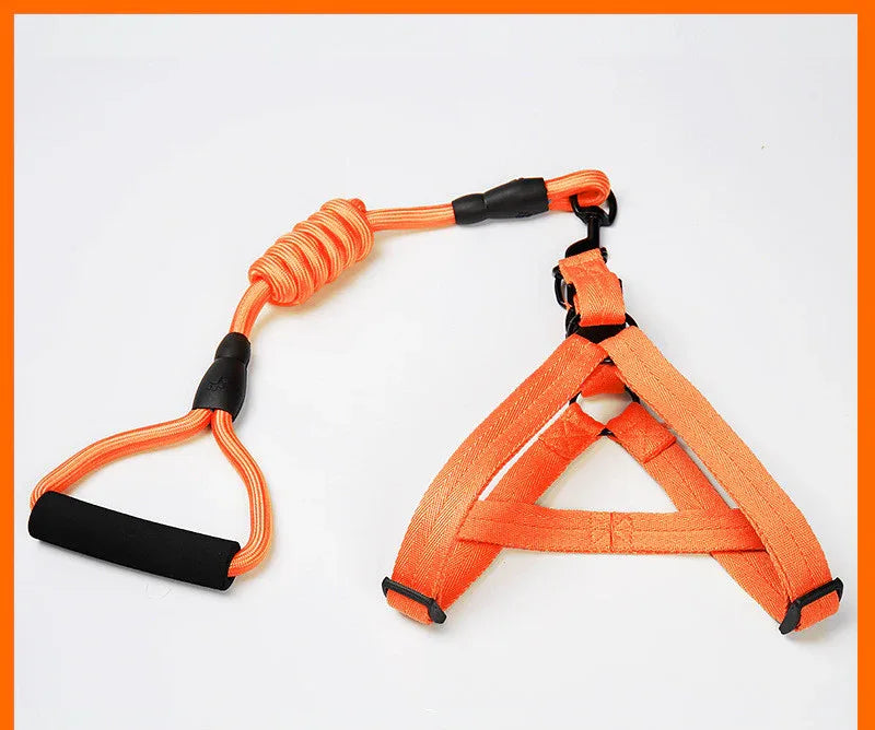 Adjustable Dog Leash Set