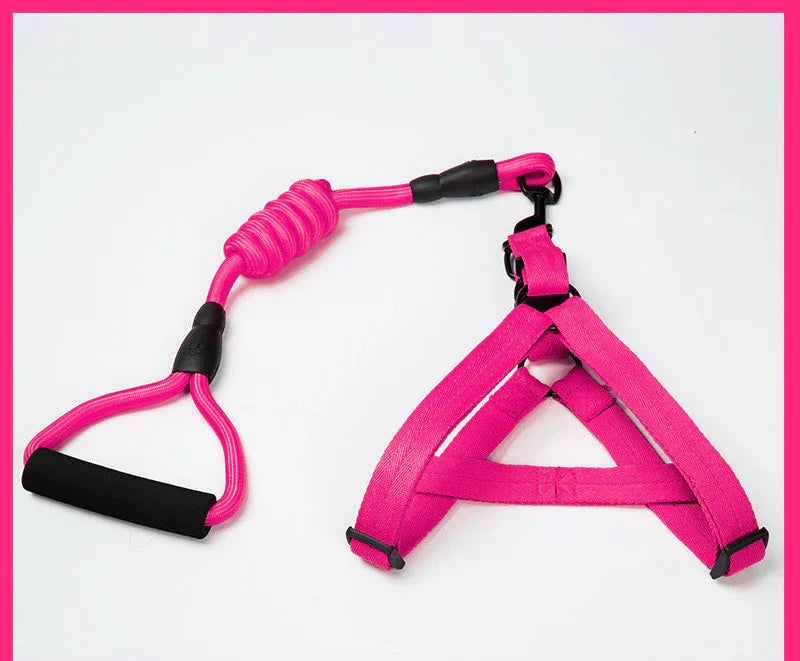 Adjustable Dog Leash Set