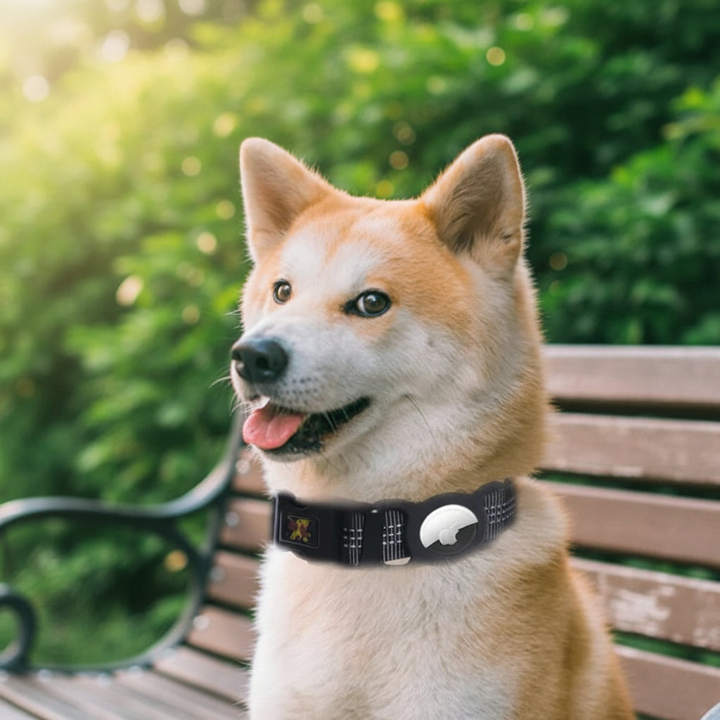 Pet AirTag Holder - [Zoro Pets]