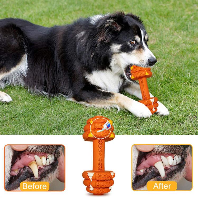 Heavy-Duty Dog Chew Toy