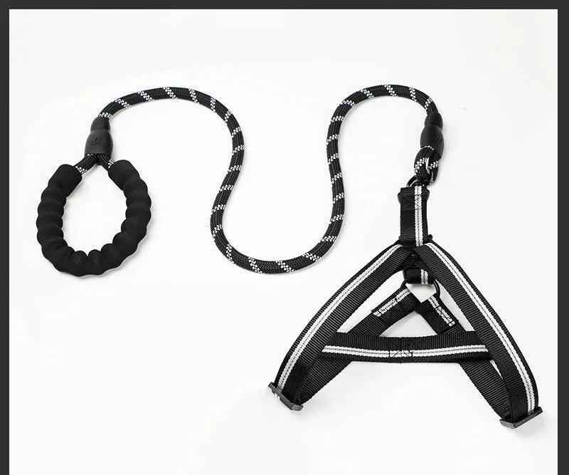 Adjustable Dog Leash Set