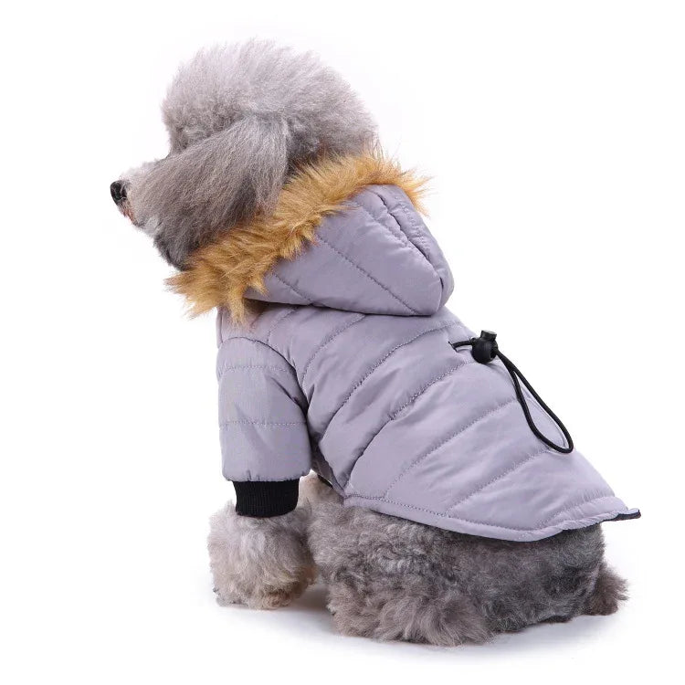 Winter Pet Coat