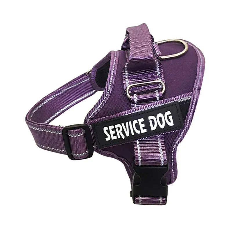 Personalized Pet Harness