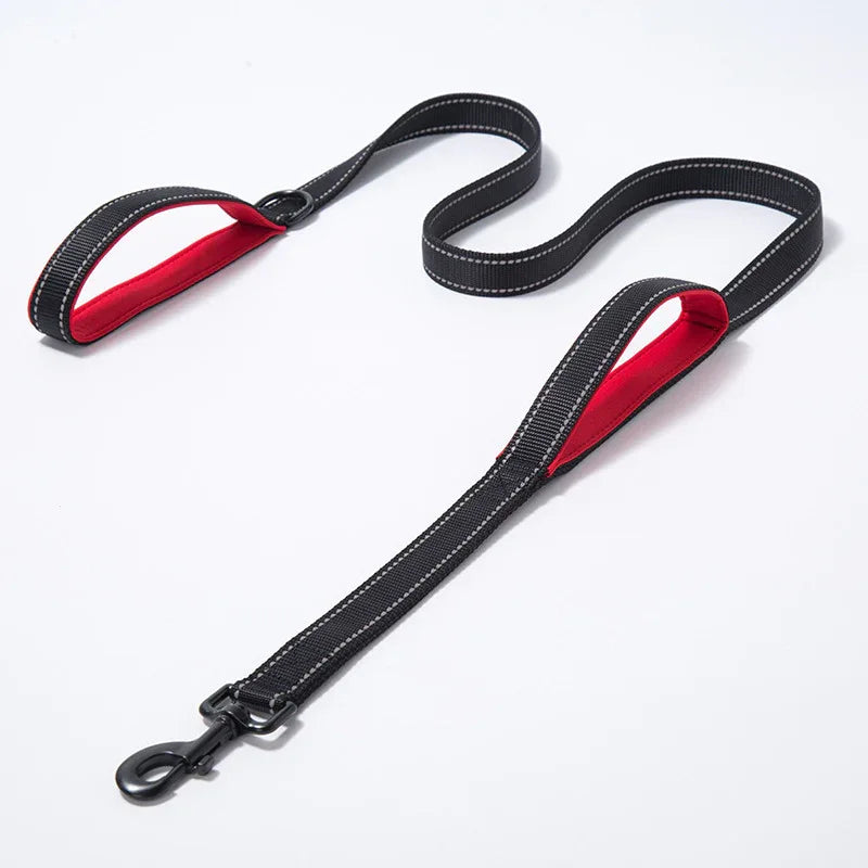Reflective Nylon Dog Leash