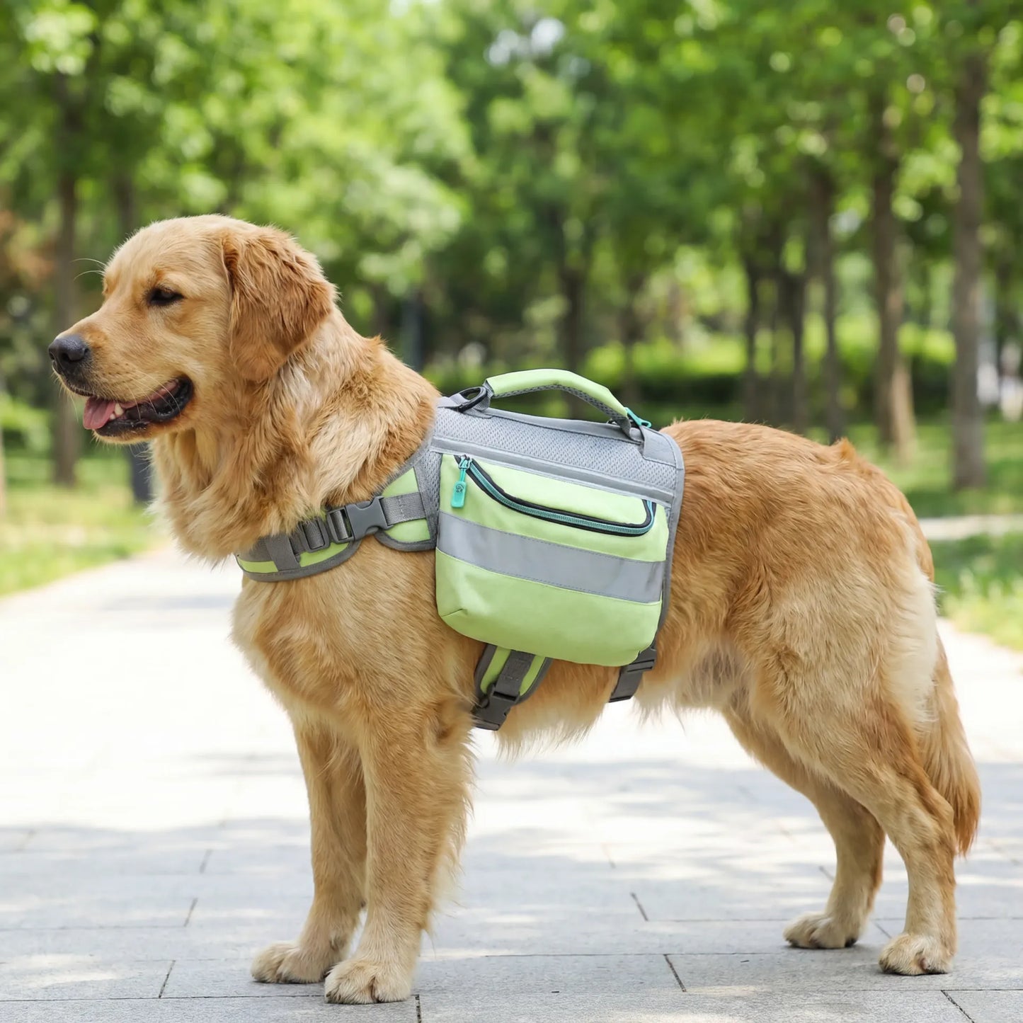 Large Dog Carrier Backpack — Zoro Pets