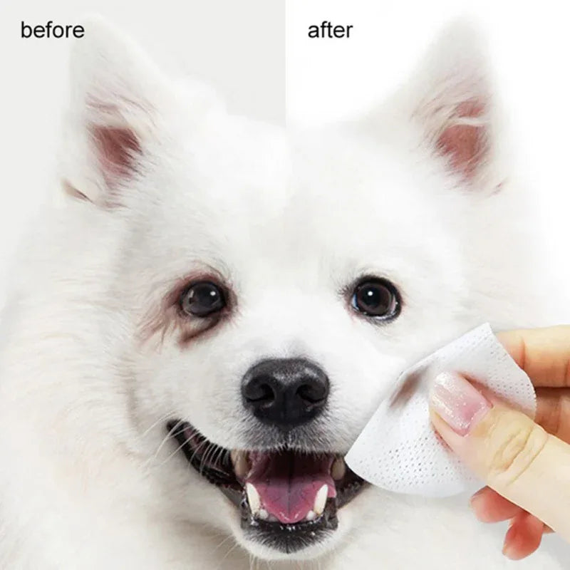 120 Pcs Non-Woven Pet Eye Cleaning Wipes - Zoro Pets