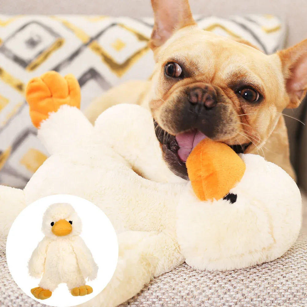 Plush Dog Toy