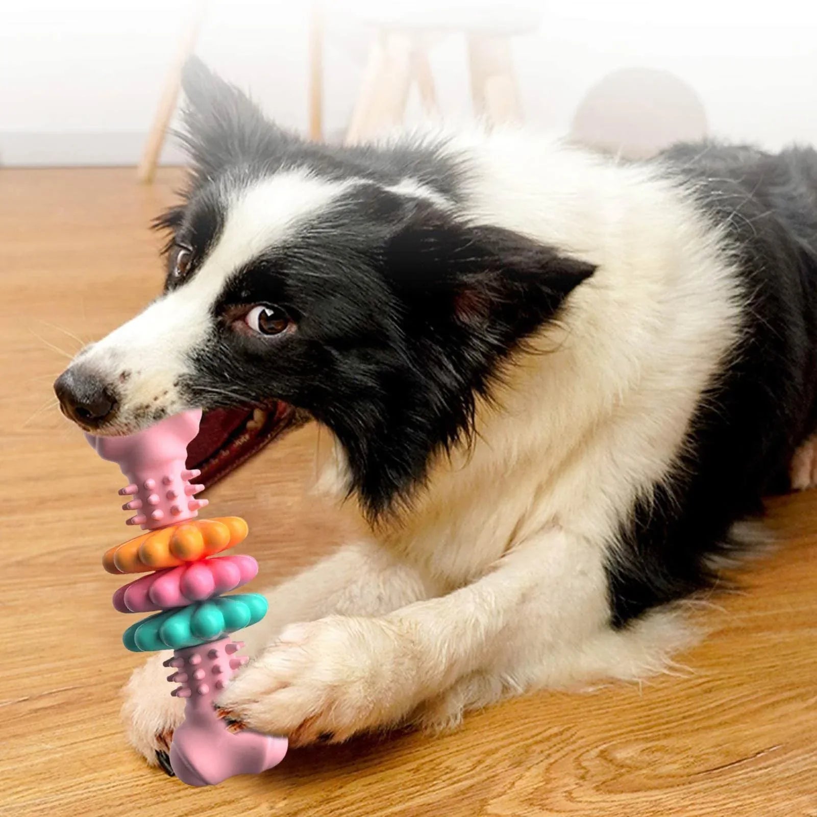 Indestructible TPR Dog Bone – Zoro Pets